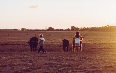 Farm Transition Planning for Growth, Not Just Retirement